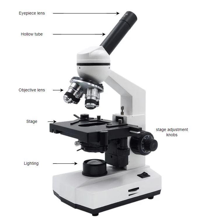 Basic microscope setup